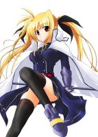 mahou_shoujo_lyrical_nanoha_-_lanyok_00194.jpg